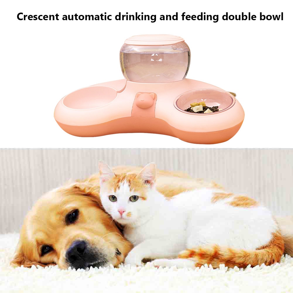 Food Bowl With Water Fountain For Pets